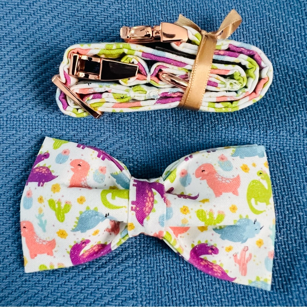 Dinosaur Print Dog Bow Tie and Collar